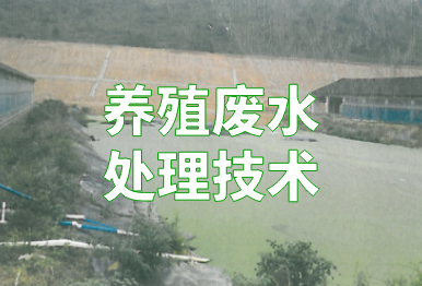【環(huán)保干貨】養(yǎng)殖廢水如何處理？4個(gè)方法，快看你的豬場(chǎng)適合哪一種